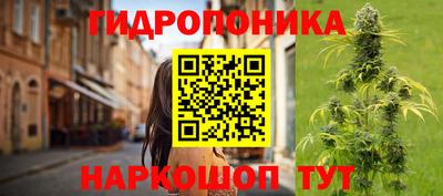 шишки Бузулук