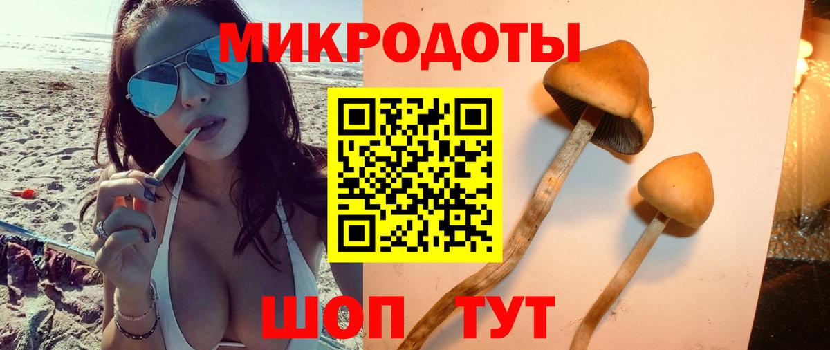 закладка  Псилоцибиновые грибы ЛСД  Вход с VPN  Волоколамск 